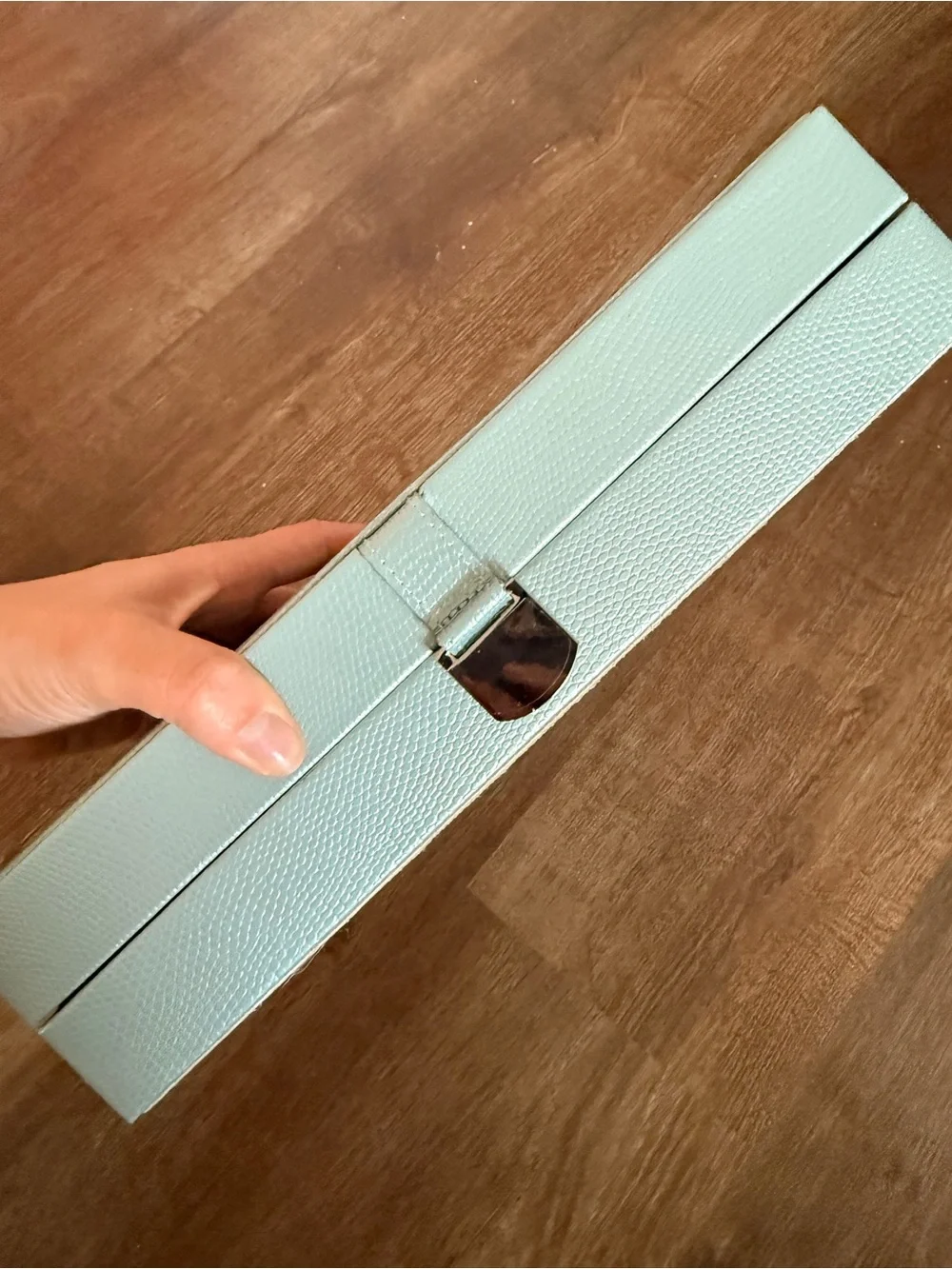 WOLF Jewelry Organizer Travel Case in Light Blue and Beige